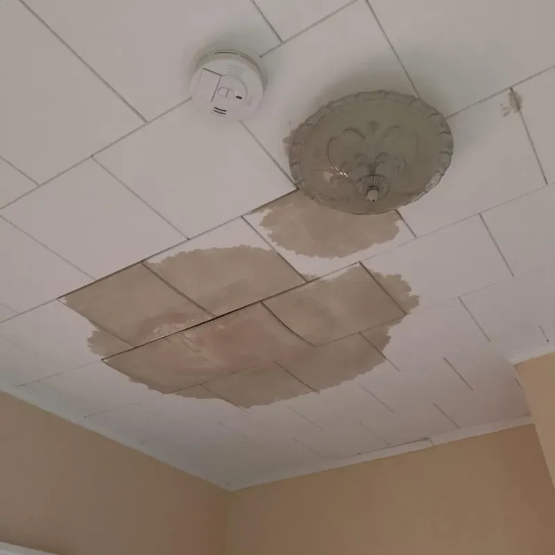Ceiling Water Damage Repair in Monument Beach, MA